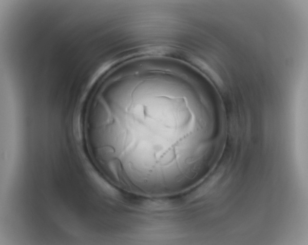 X0000114151083200910081328