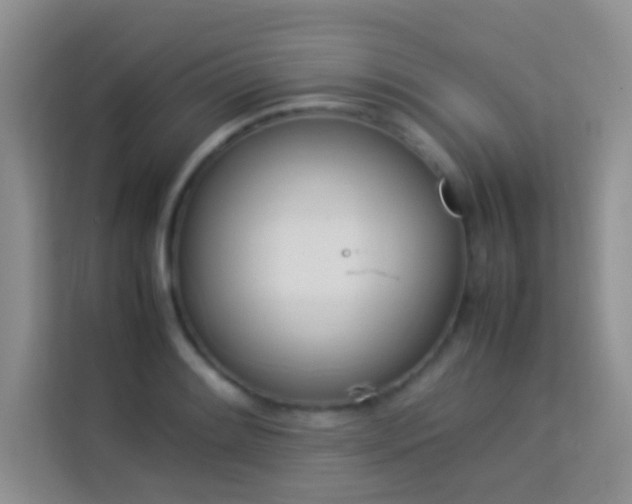 X0000114151084200910081328