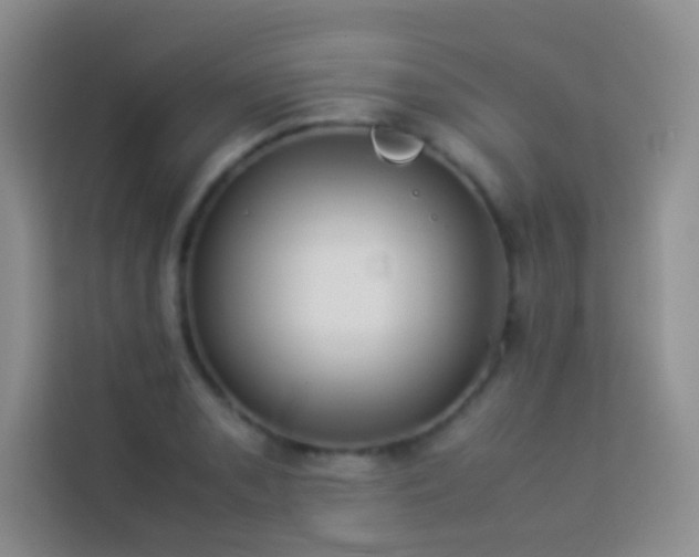 X0000114151085200910081328
