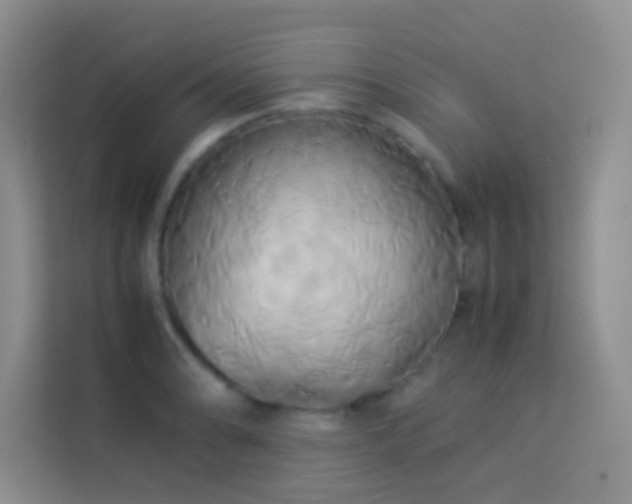 X0000114151086200910081328