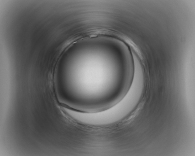 X0000114151089200910081328