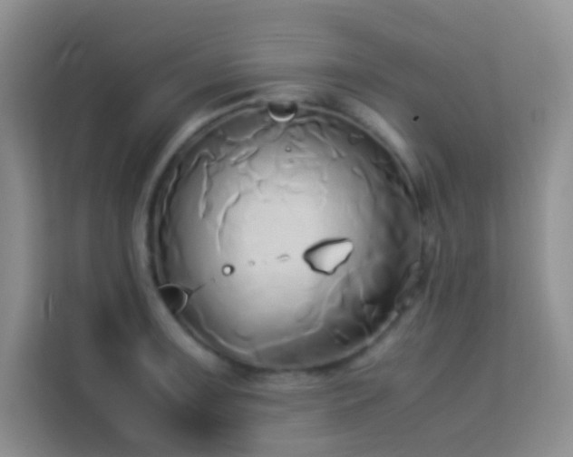 X0000114151091200910081328
