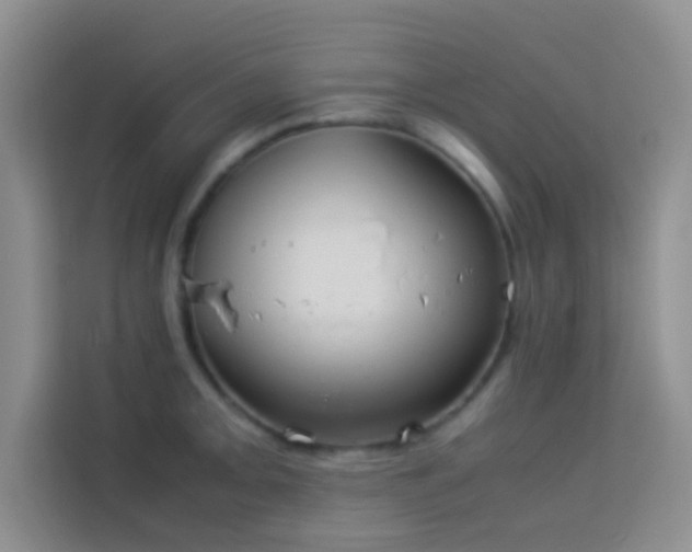 X0000114151093200910081328