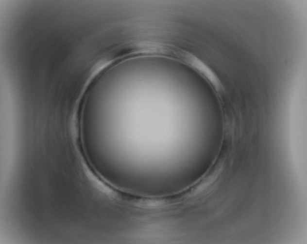 X0000114151095200910081328