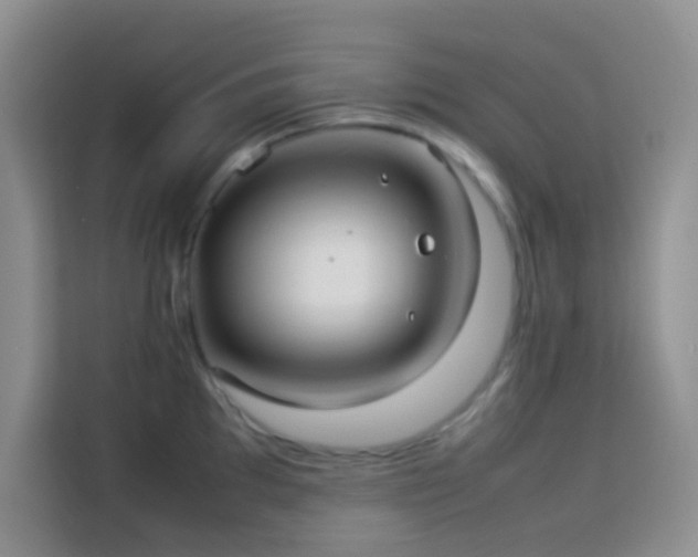 X0000114151097200910081328