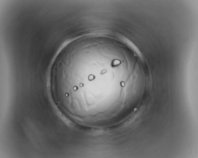 X0000114151099200910081328