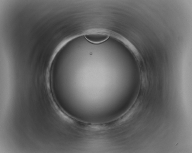 X0000114151102200910081328