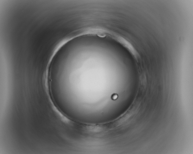 X0000114151103200910081328