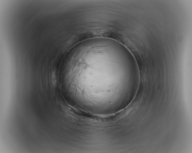 X0000114151106200910081327