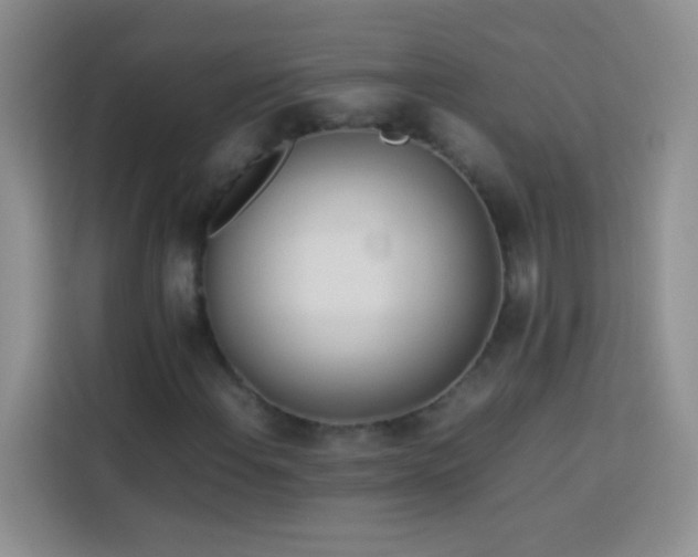 X0000114151108200910081327