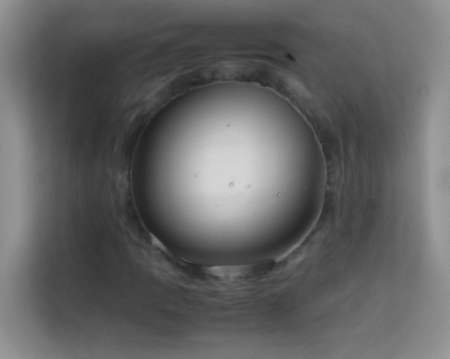 X0000114151109200910081327
