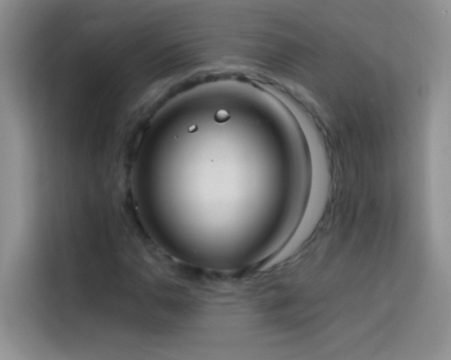 X0000114151110200910081327