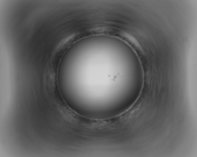 X0000114151111200910081327