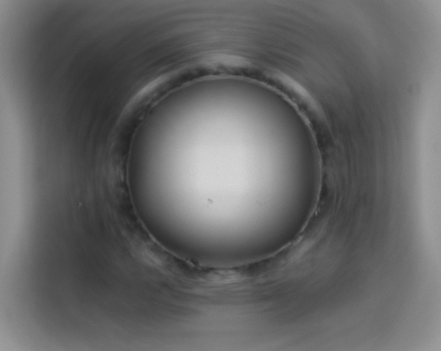 X0000114151112200910081327