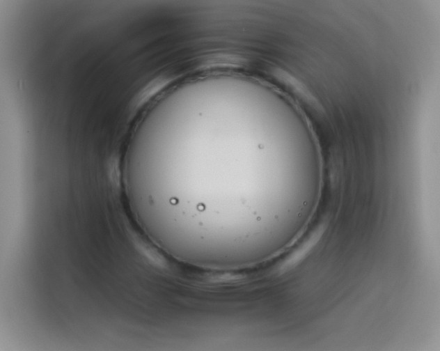 X0000114151113200910081327
