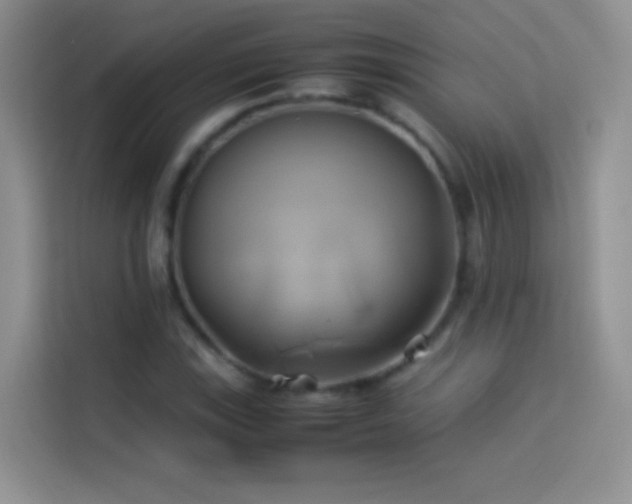 X0000114151115200910081327
