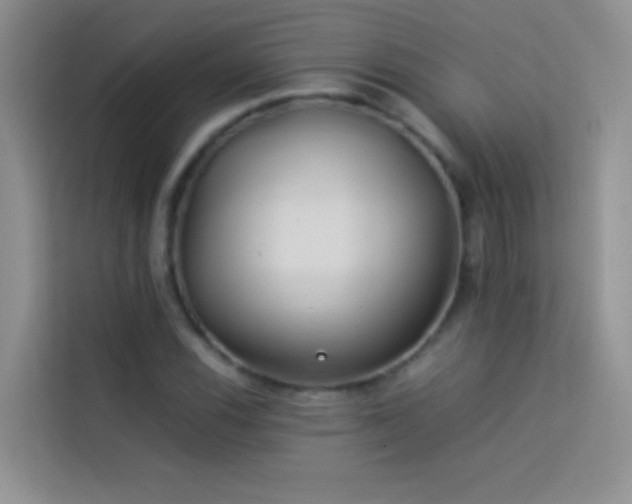 X0000114151116200910081327