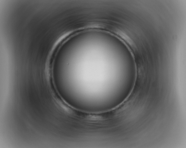 X0000114151119200910081327