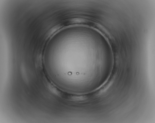 X0000114151121200910081327