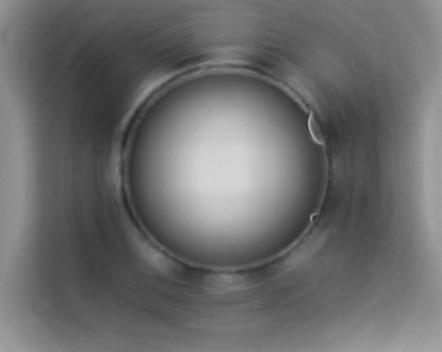X0000114151124200910081327