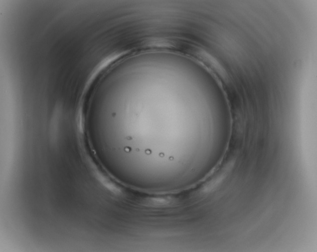X0000114151125200910081327