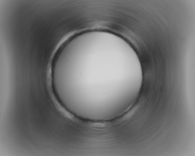 X0000114151126200910081327