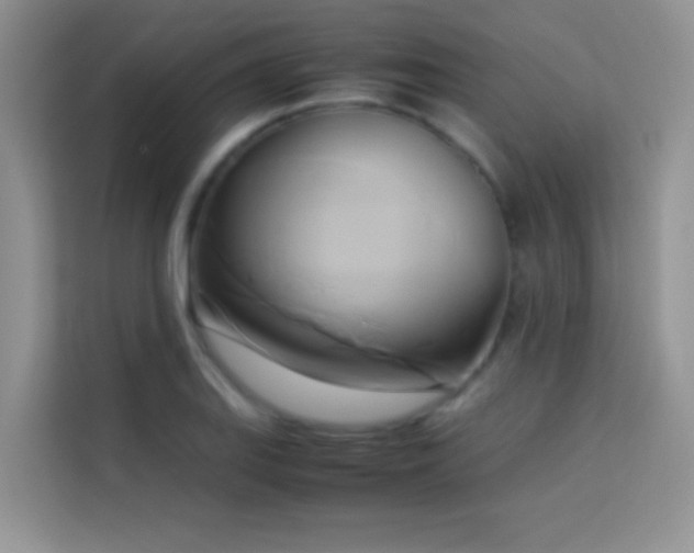 X0000114151127200910081327