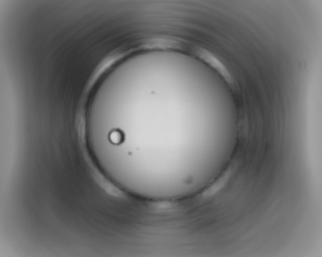 X0000114151130200910081327