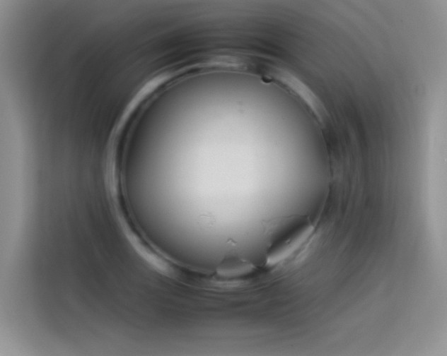 X0000114151131200910081327