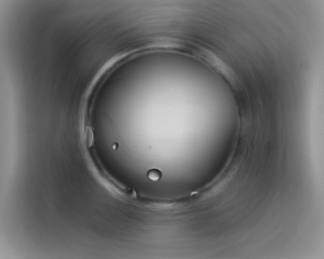 X0000114151132200910081327