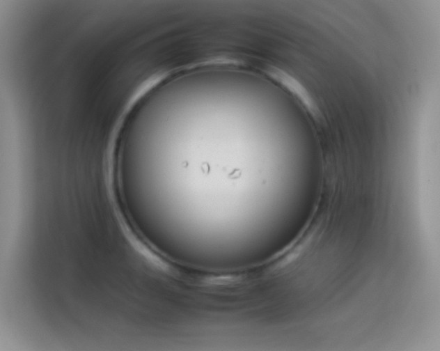X0000114151135200910081327