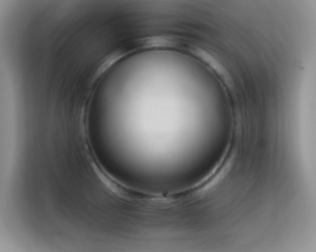 X0000114151137200910081328