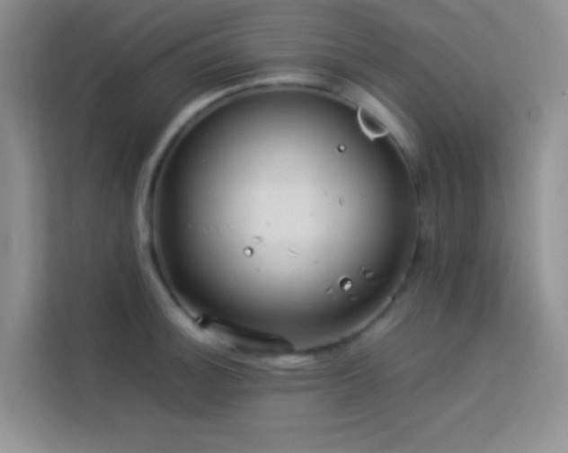 X0000114151140200910081328