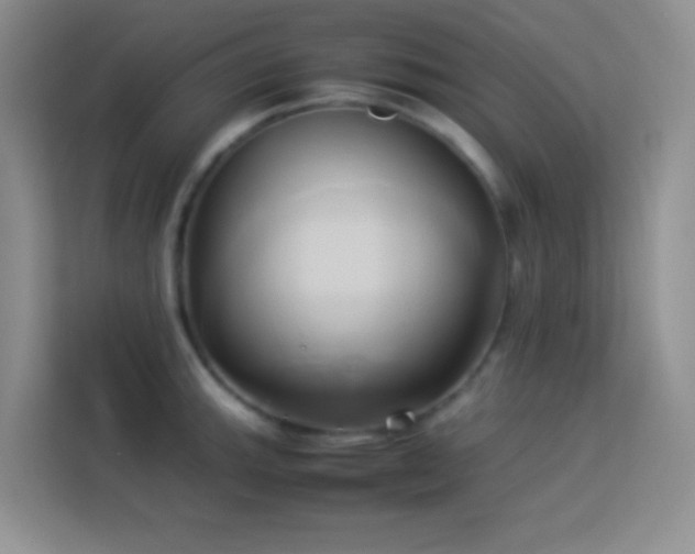 X0000114151143200910081328