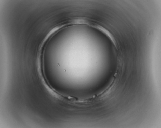 X0000114151147200910081328