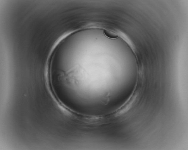 X0000114151149200910081328