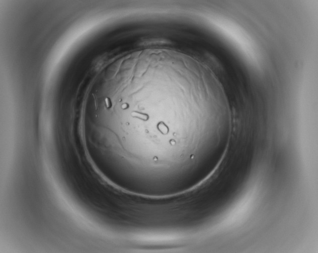 X0000114151151200910081328