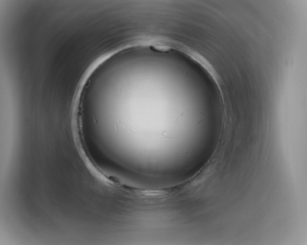 X0000114151152200910081328
