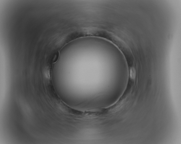 X0000114151155200910081327