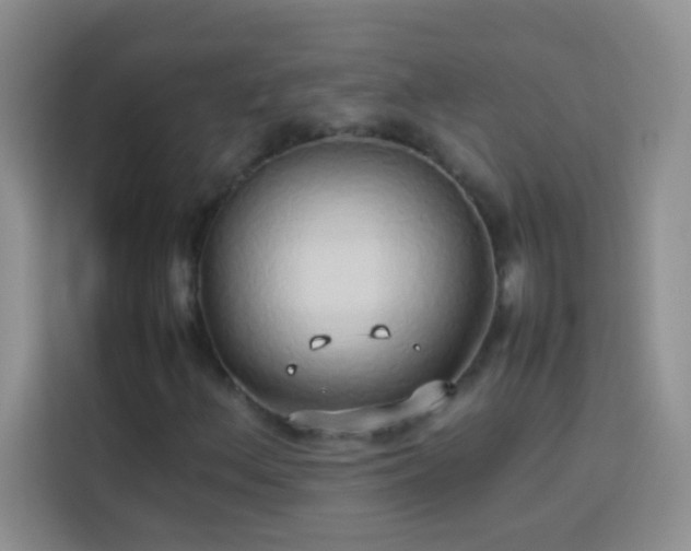 X0000114151156200910081327