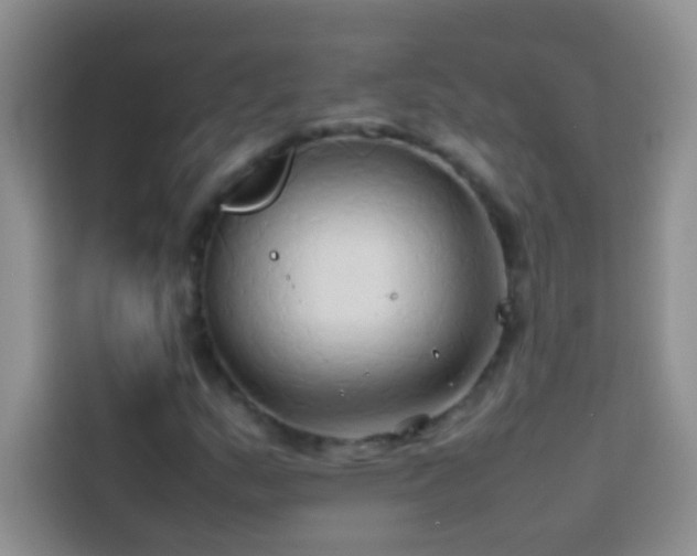 X0000114151159200910081327