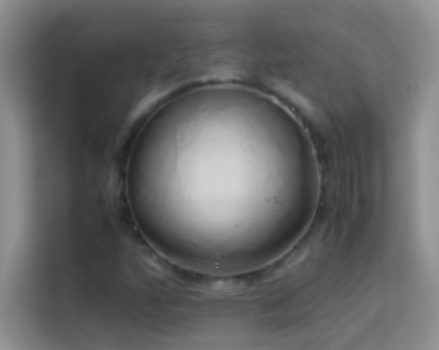 X0000114151160200910081327