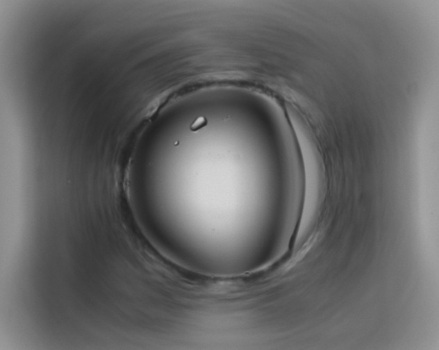 X0000114151161200910081327