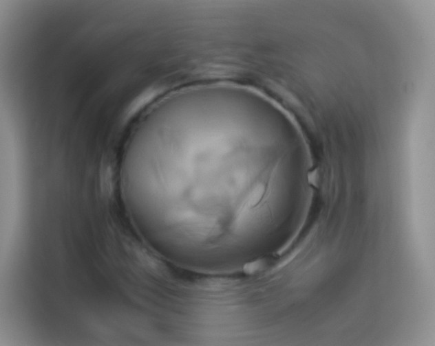 X0000114151163200910081327