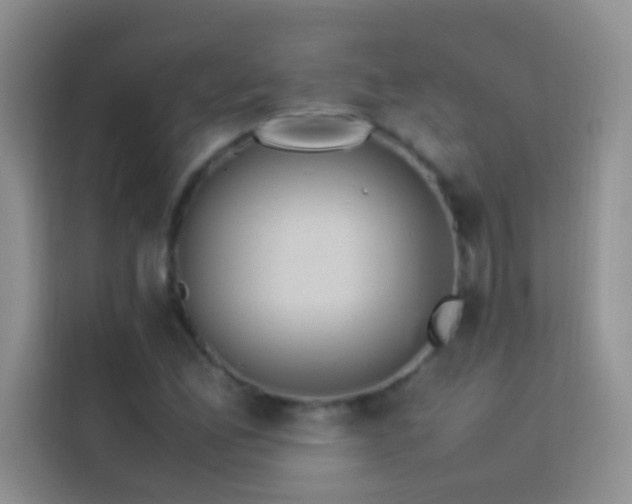 X0000114151165200910081327