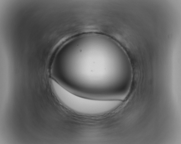 X0000114151167200910081327