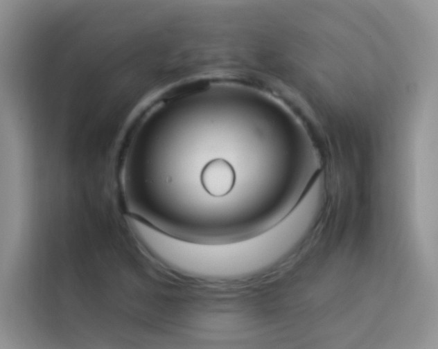 X0000114151168200910081327