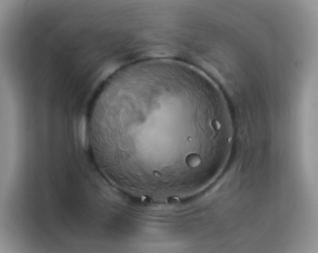 X0000114151171200910081327
