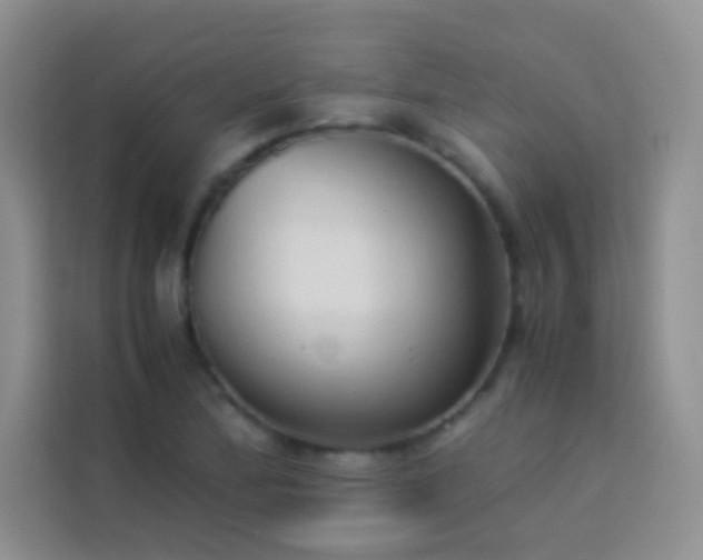 X0000114151172200910081327