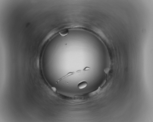 X0000114151173200910081327